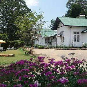 酒店 特列文酒店
